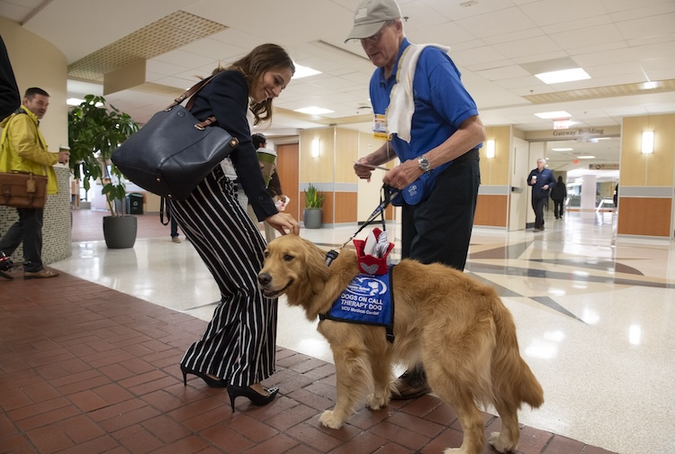 Woman in a suit pets a golden retriever therapy dog. The dog's handler is smiling. 